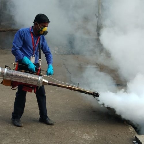 Pest Control Services Mumbai Illustration