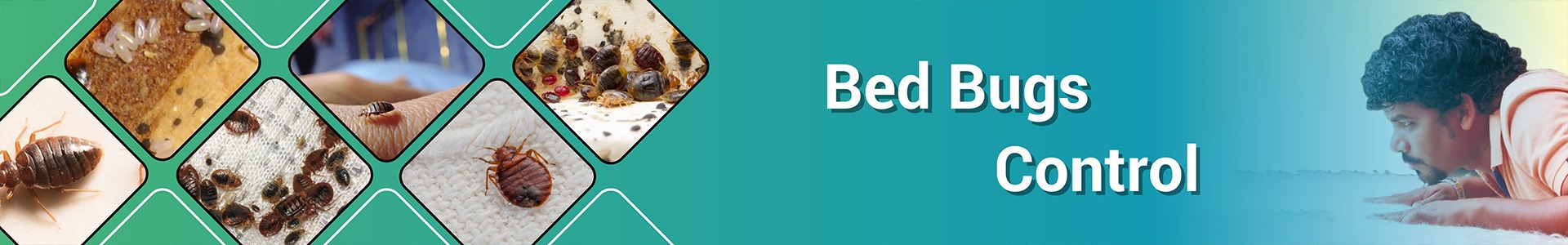 Bed Bug Control & Removal services