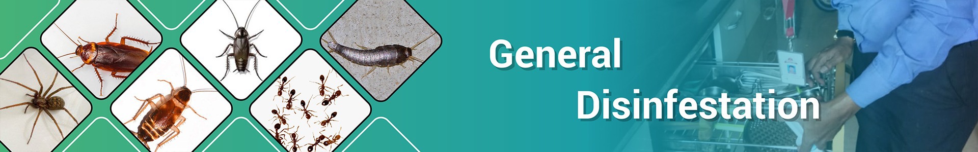 general disinfestation banner