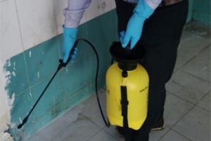 Pest Control for Society & Inspections