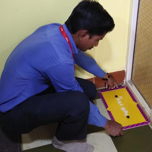 Pepstop trapping rats in glue