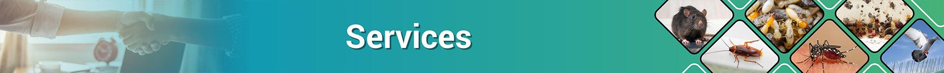 Pepstop pest control services