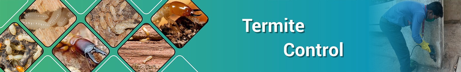termite treatment in Mumbai