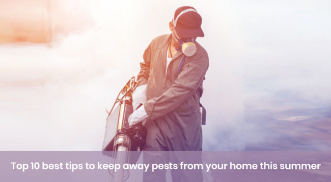 Top 10 best tips to keep away pests from your home this summer