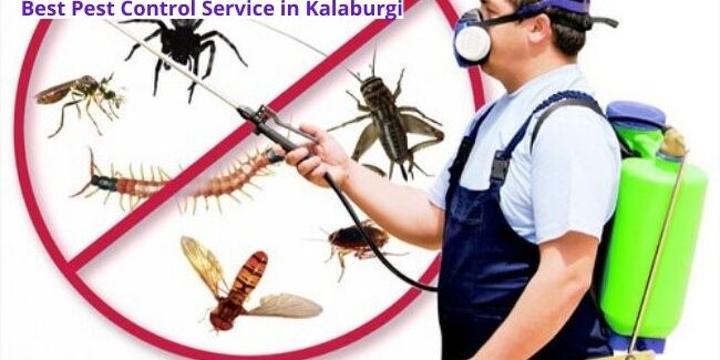 Best Pest Control Service in Kalaburgi