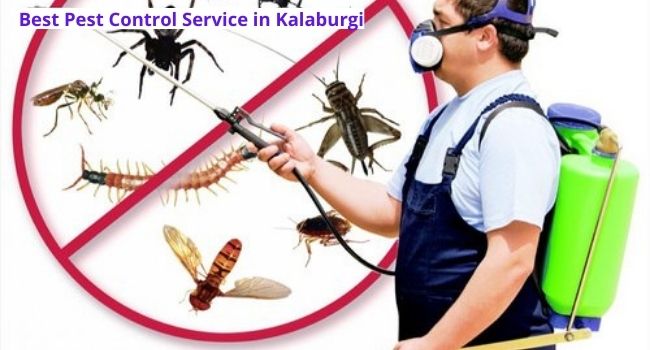 Best Pest Control Service in Kalaburgi