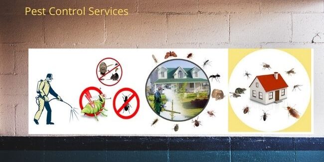 BEST PEST CONTROL SERVICE IN GULBARGA