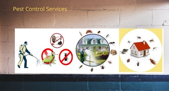 BEST PEST CONTROL SERVICE IN GULBARGA