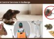 Rodent Control Services in Gulbarga
