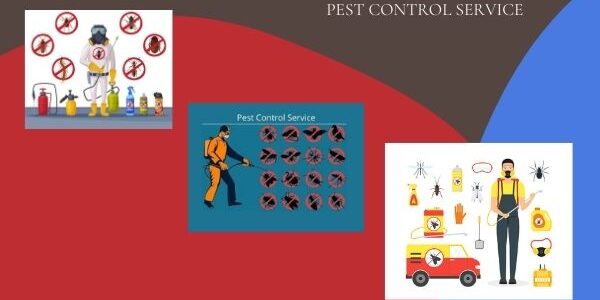 pest control services in Gulbarga