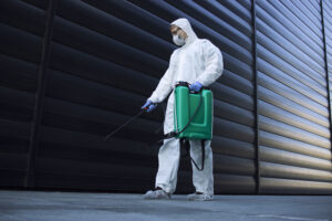 Pest Control Services in Gulbarga