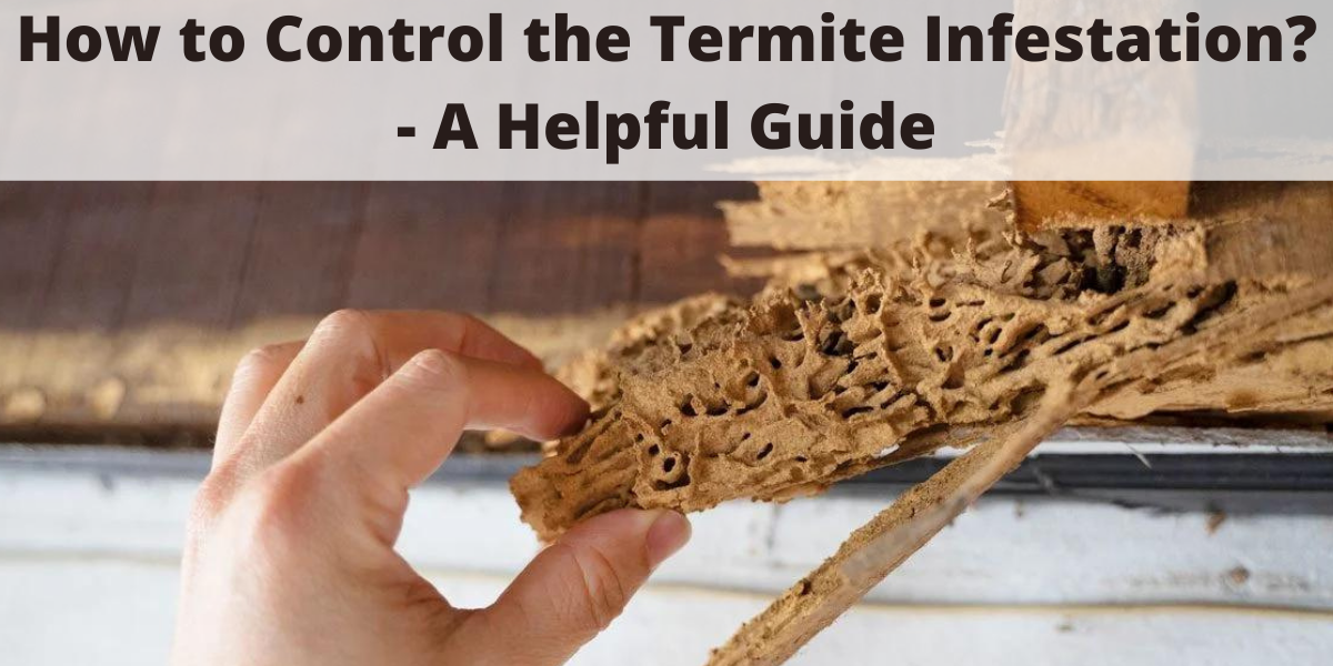 Best pest control service in kalaburagi