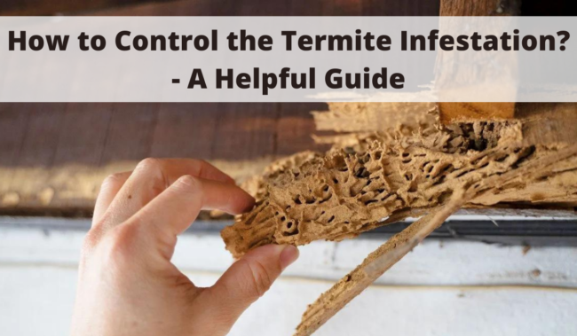 Best pest control service in kalaburagi