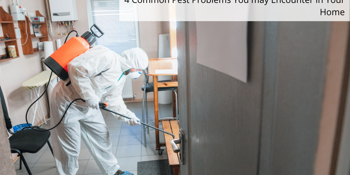 pest control services in thane