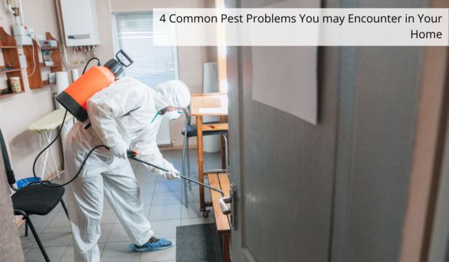 pest control services in thane