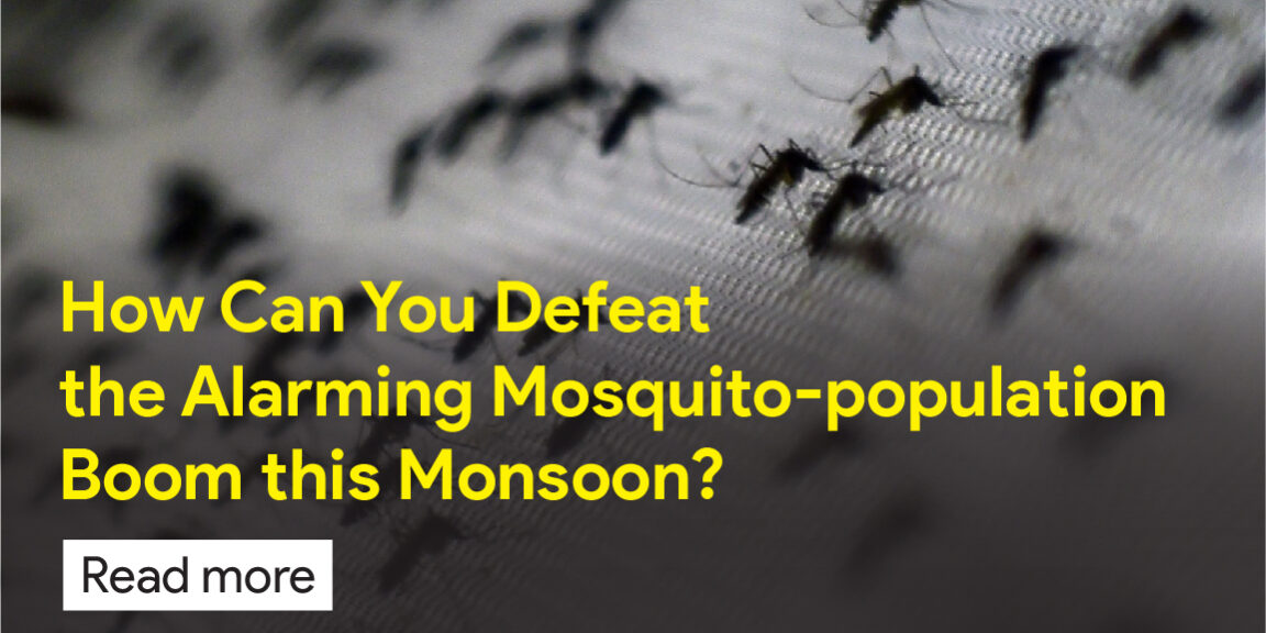 best pest control services in gulbarga.