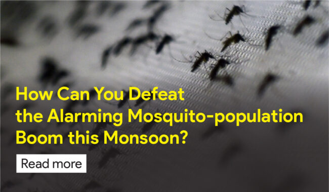 best pest control services in gulbarga.