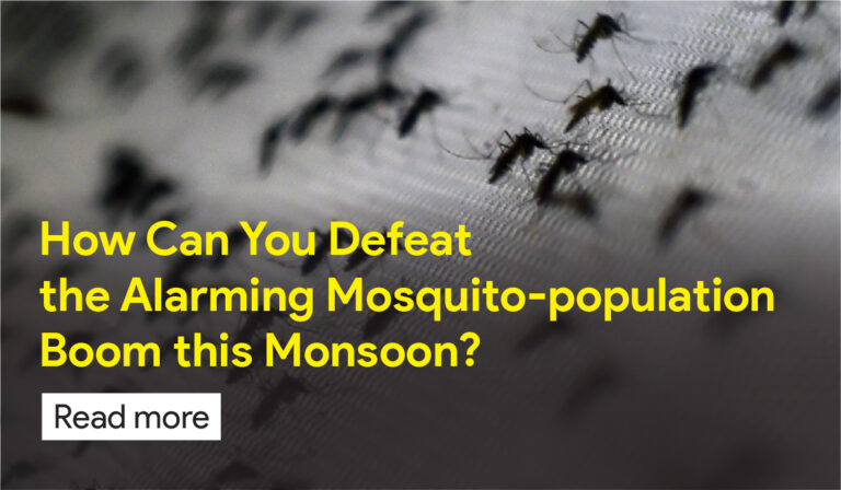 best pest control services in gulbarga.