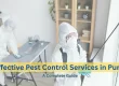 Effective Pest Control Services in Pune