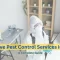 Effective Pest Control Services in Pune