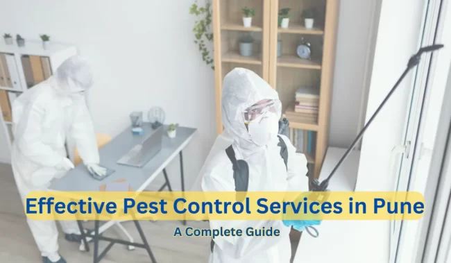 Effective Pest Control Services in Pune