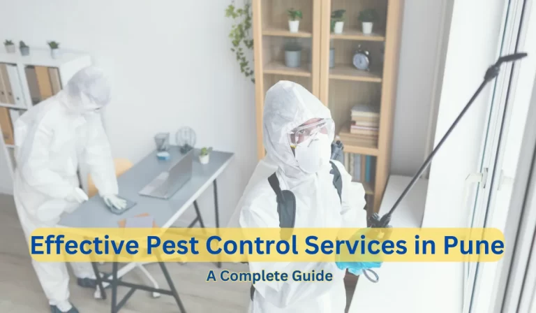 Effective Pest Control Services in Pune