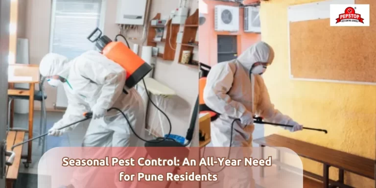 Seasonal Pest Control Services in Pune