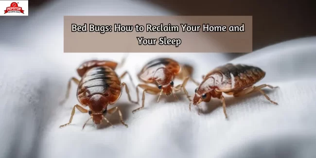 pest control services in Pune